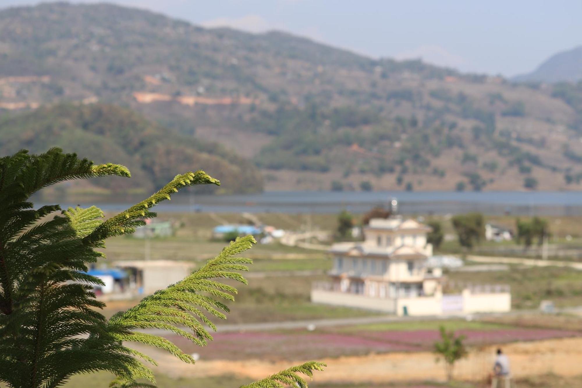 Hotel Young'S Stupa Ranipauwa 外观 照片